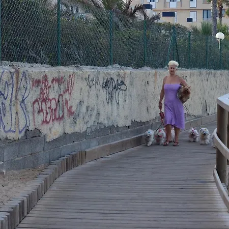 Διαμέρισμα Urbanizacion Balcon De Lomas, La Mata La Mata (Torrevieja)